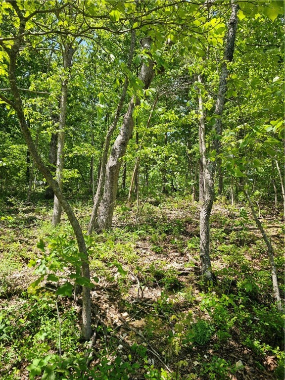 Property Photo: Tbd Kenninghall Lane AR 72715