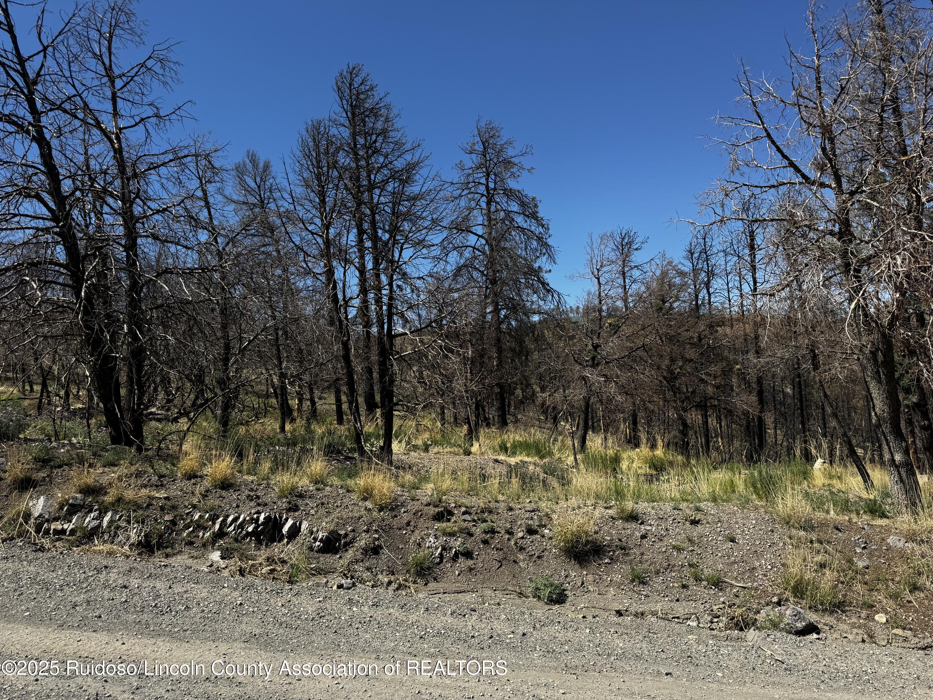 Property Photo:  140 Telluride Trail  NM 88345 