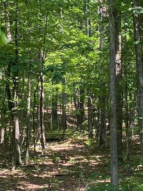 Property Photo: 00000 Brayton Mountain Rd TN 37338