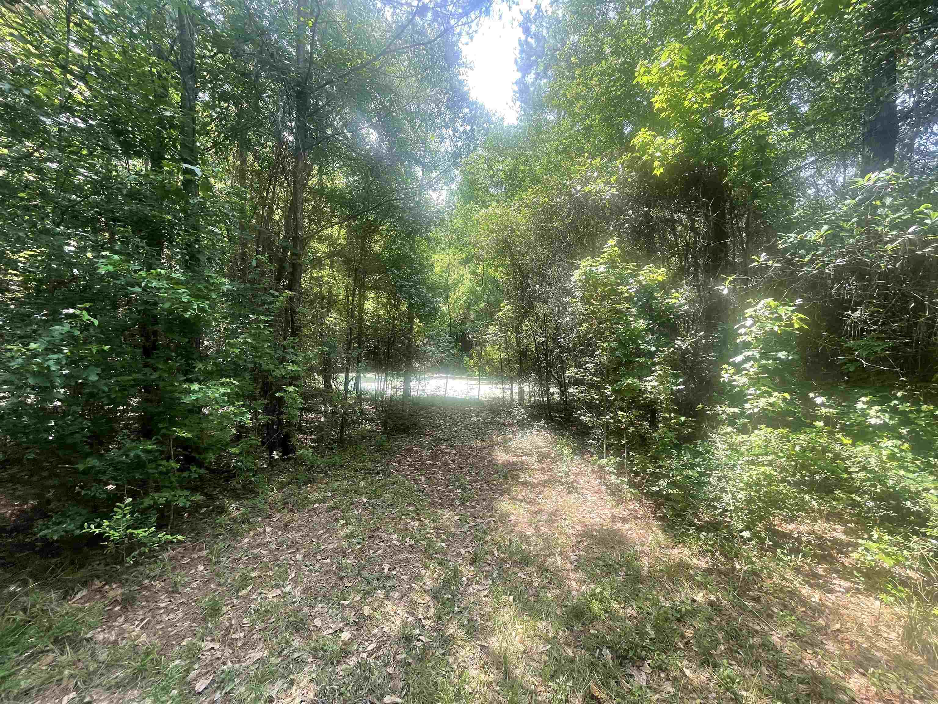 Property Photo:  01 Cr 4595  TX 77616 