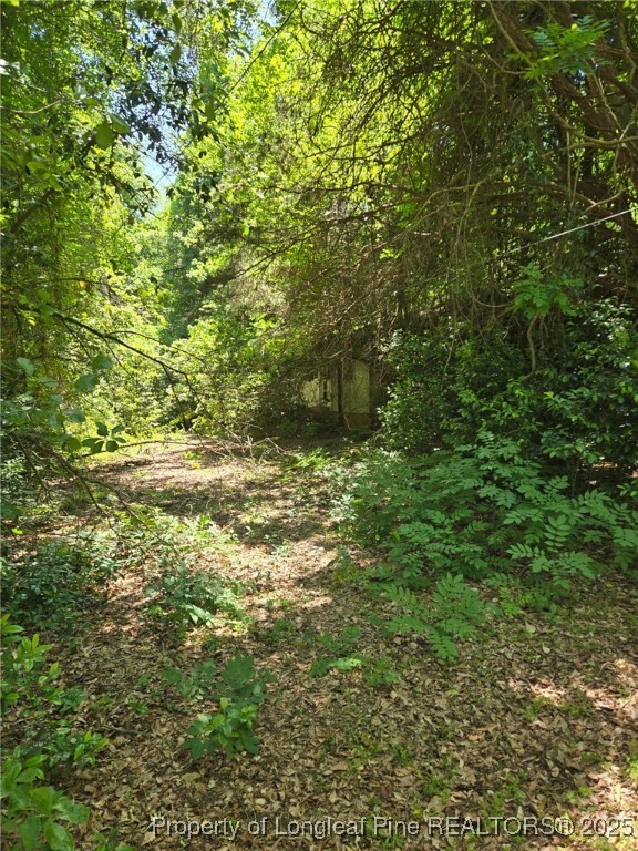 Property Photo: 203 Scarborough Street NC 28390