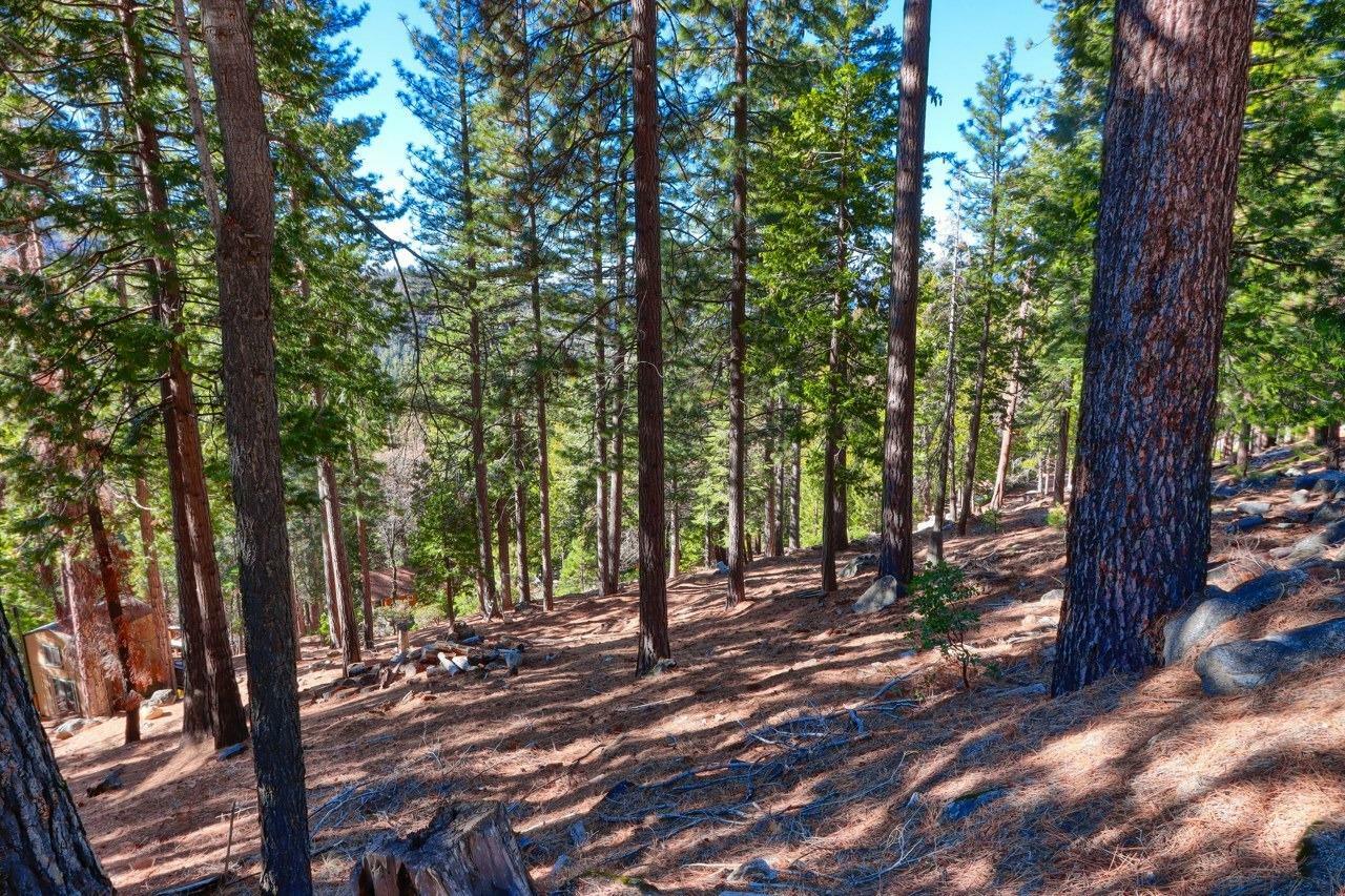 Property Photo: 7349 Yosemite Park Way CA 95389