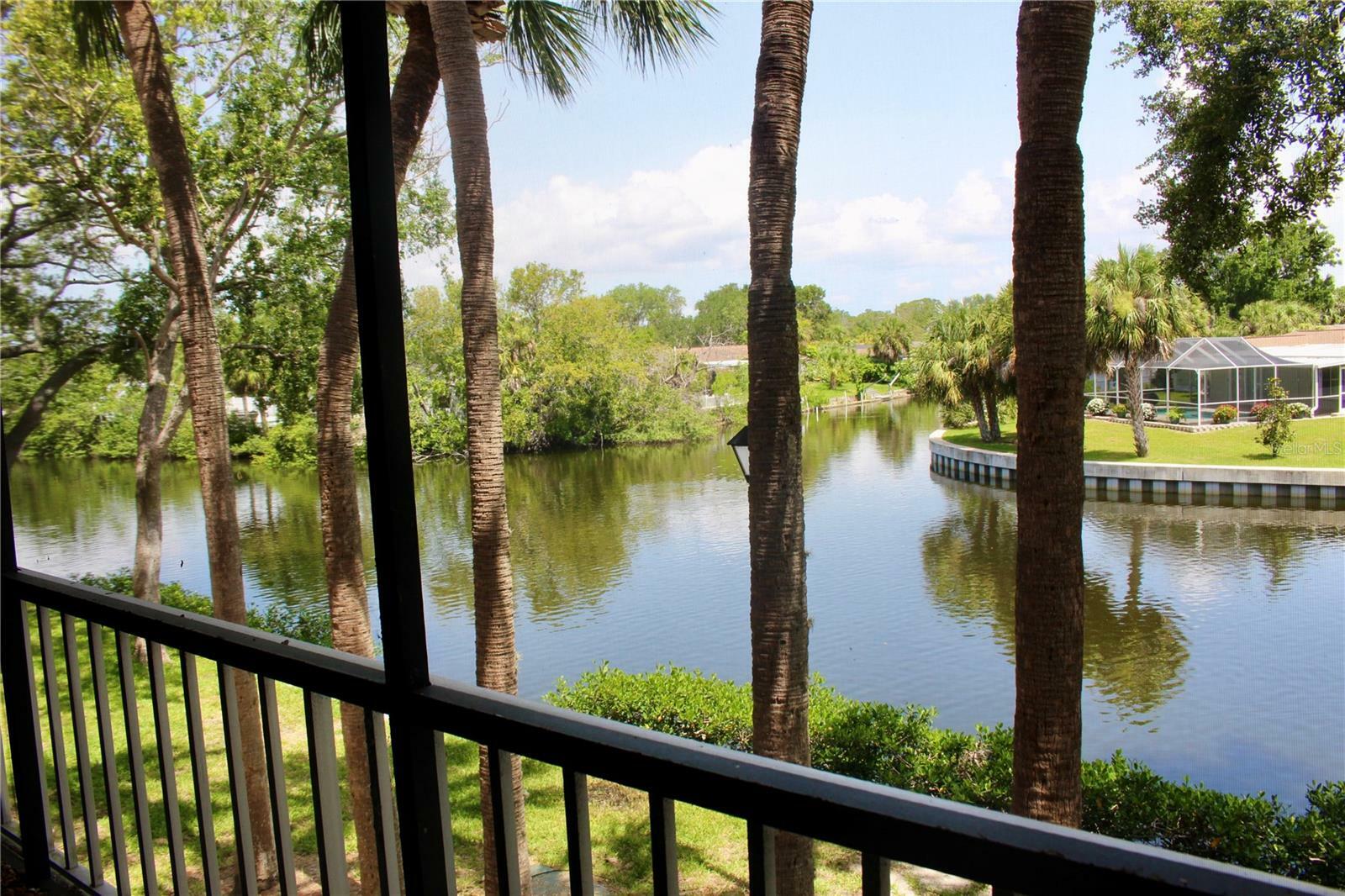Property Photo: 9101 Tudor Drive F206 FL 33615