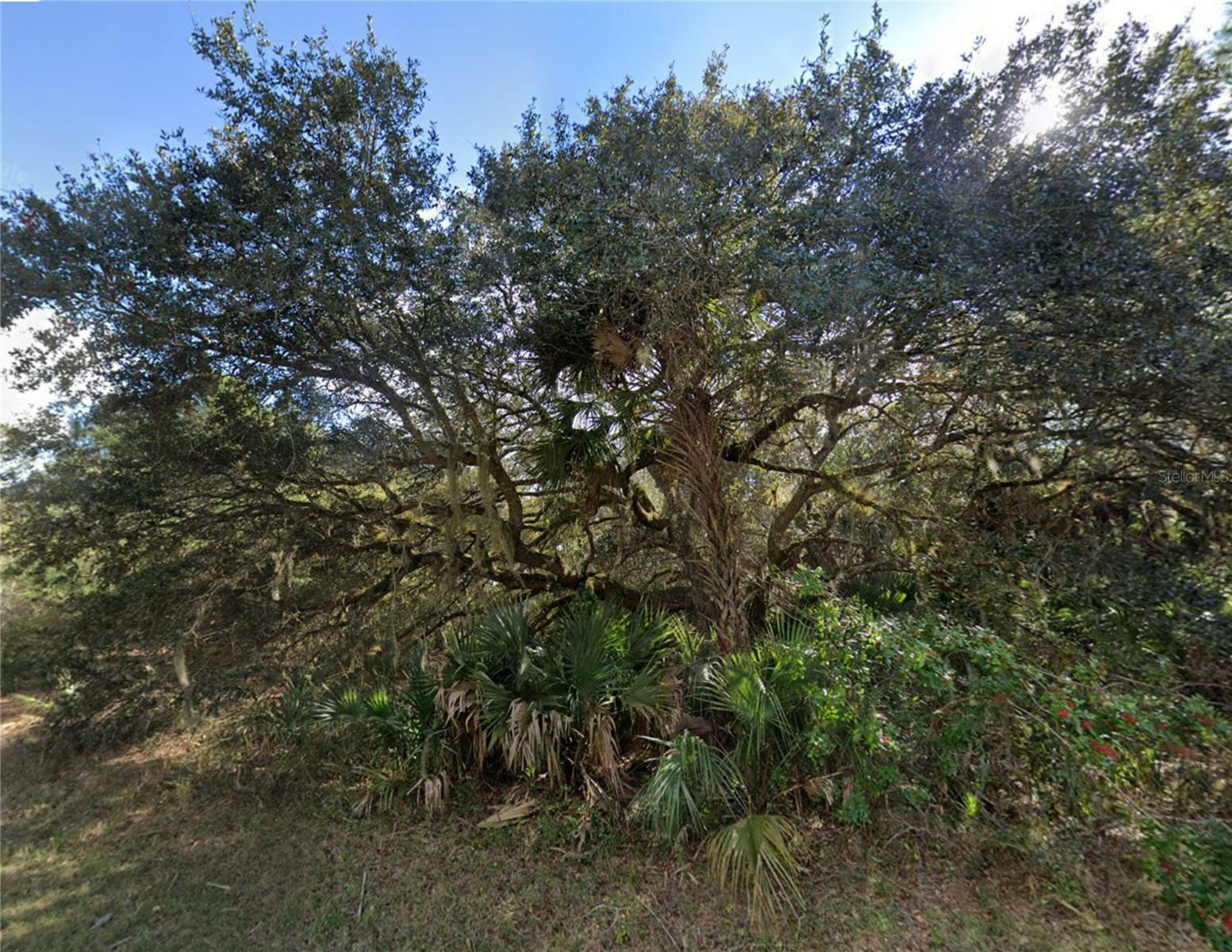 Property Photo: 18393 Cordoba Avenue FL 33954