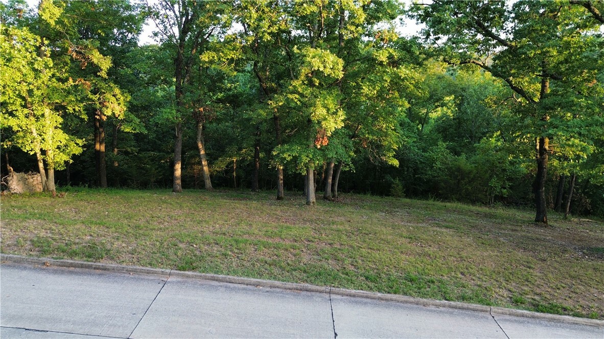 Property Photo: Lot 3 Serenity Point Lane AR 72756
