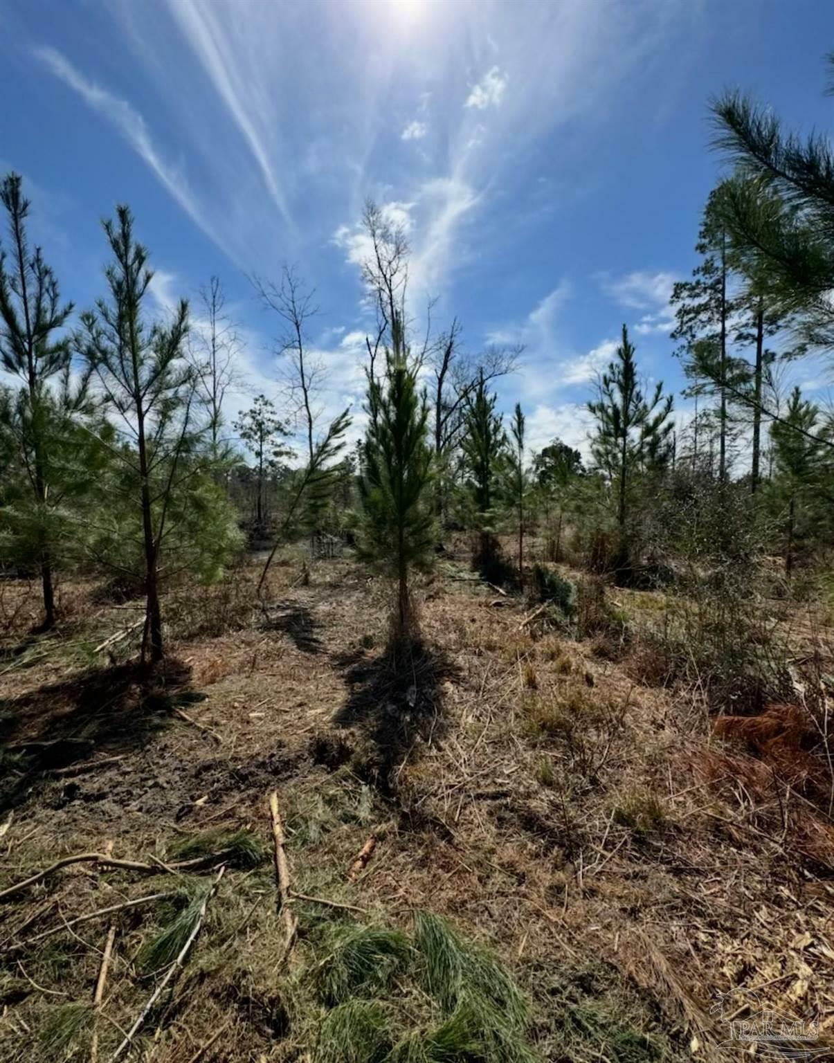 Property Photo: 000 Bright Prospect Rd Lot 7 FL 32448