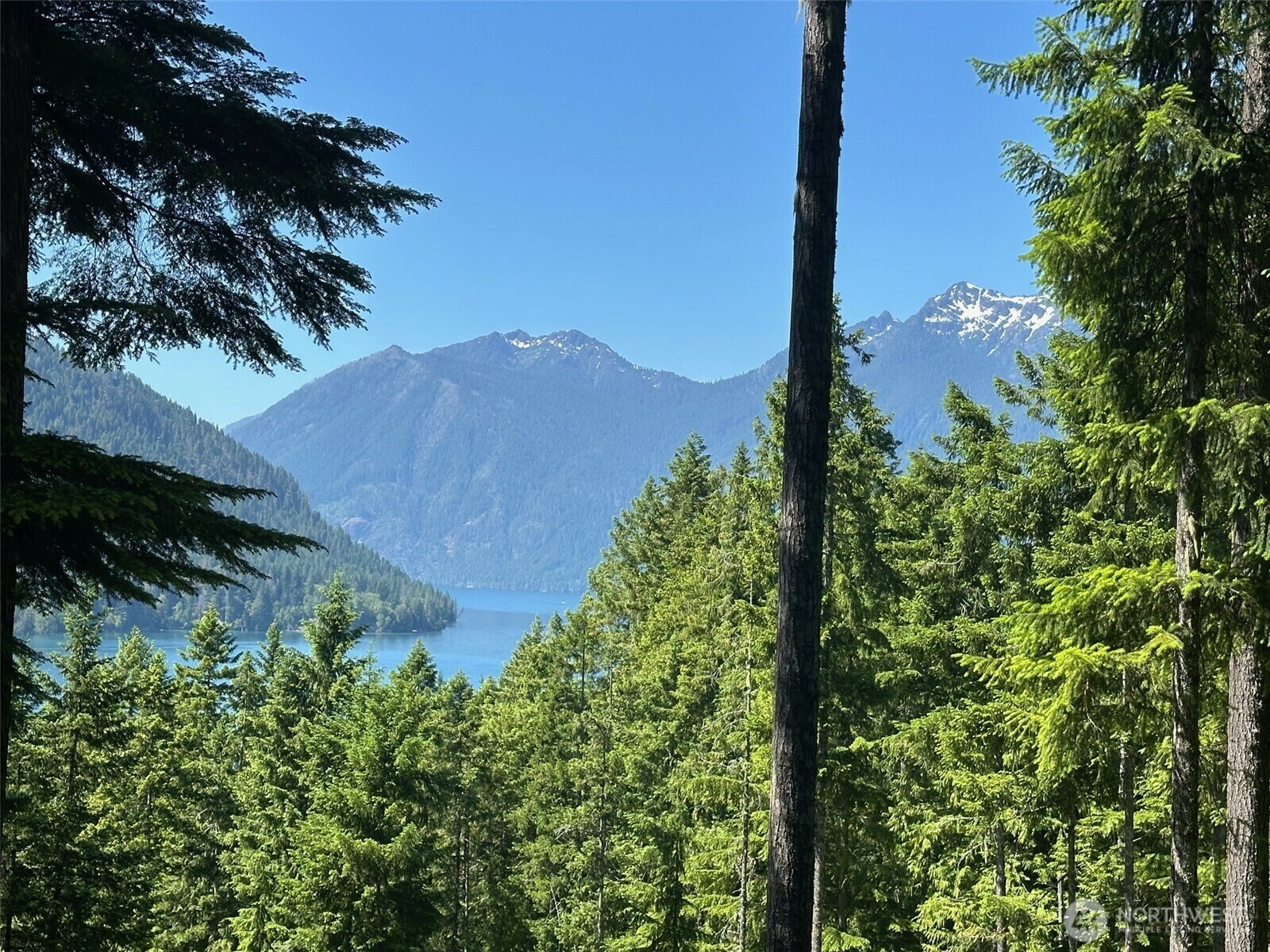 Property Photo: 5156 N Lake Cushman Road WA 98548