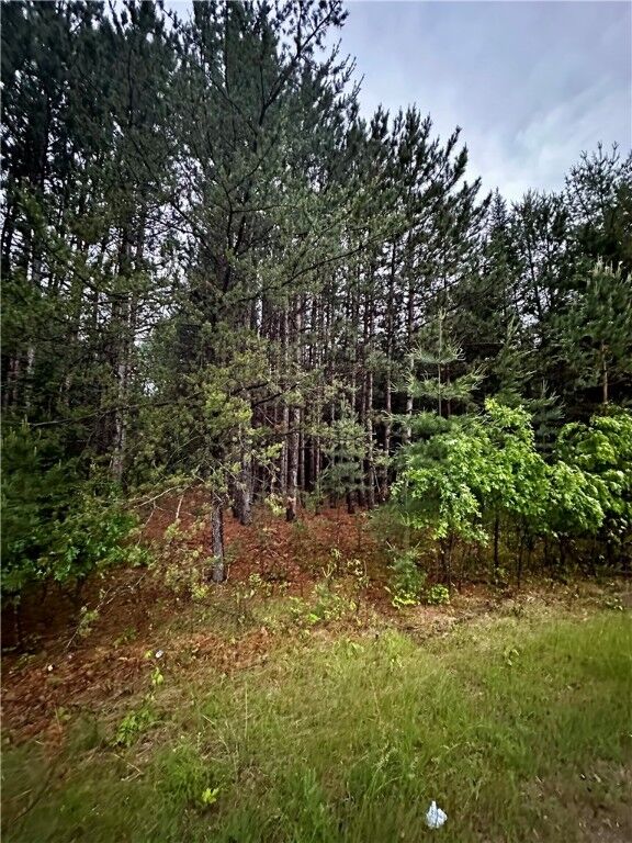 Property Photo:  .8 Acres 70th Avenue  WI 54729