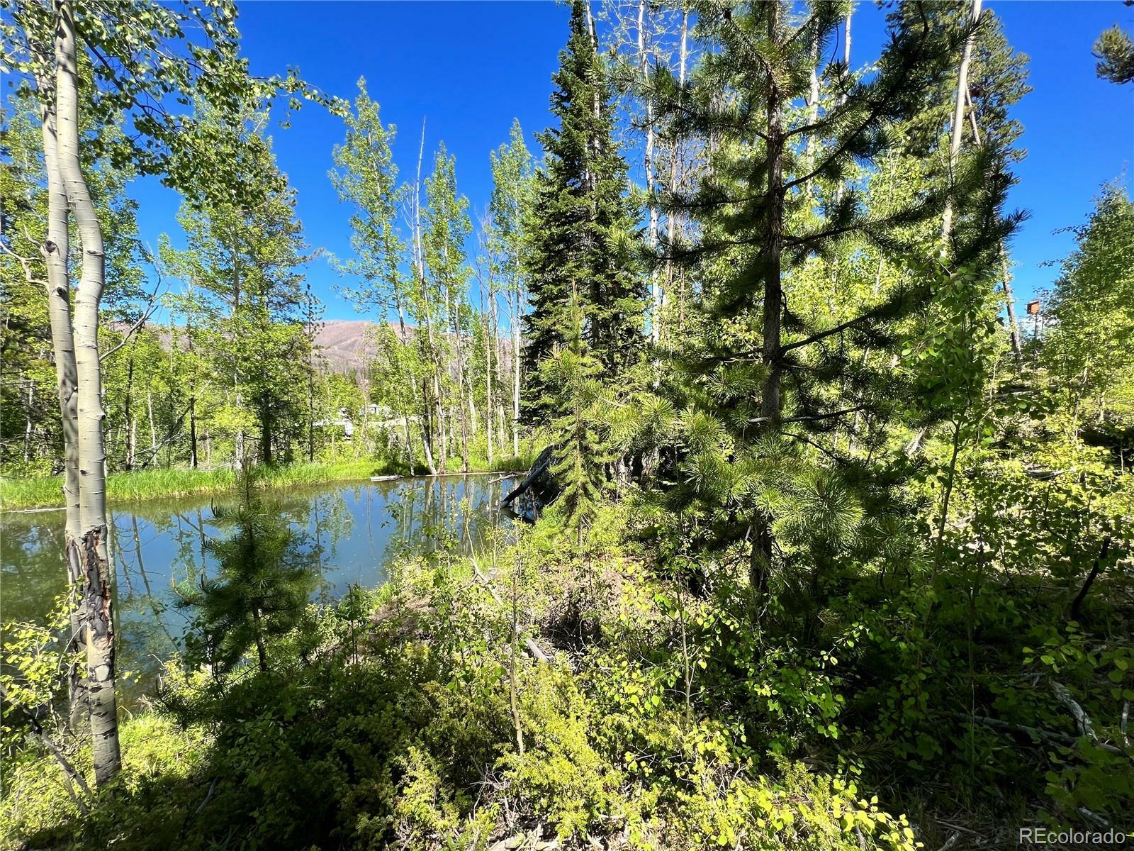 Property Photo: 134 Mad Moose Lane CO 80447