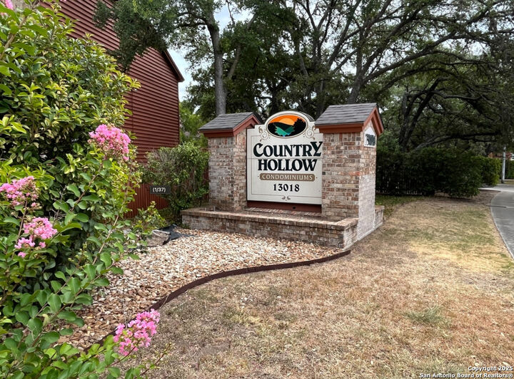 13018 Heimer 805  San Antonio TX 78216 photo