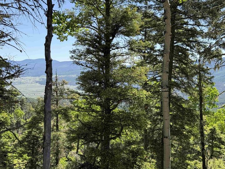 Property Photo: Lot 37 Brazos NM 87710