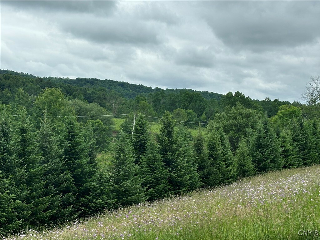Property Photo: McGraw Marathon Road NY 13803