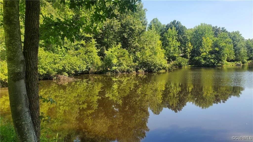 Property Photo:  4601 Hadensville Farm Lane  VA 23117 