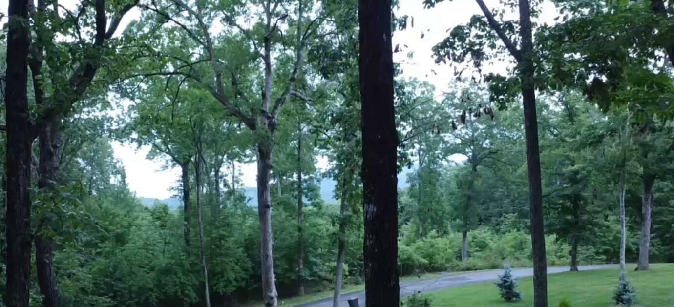 Property Photo: 594 Lookout Crest Lane GA 30750
