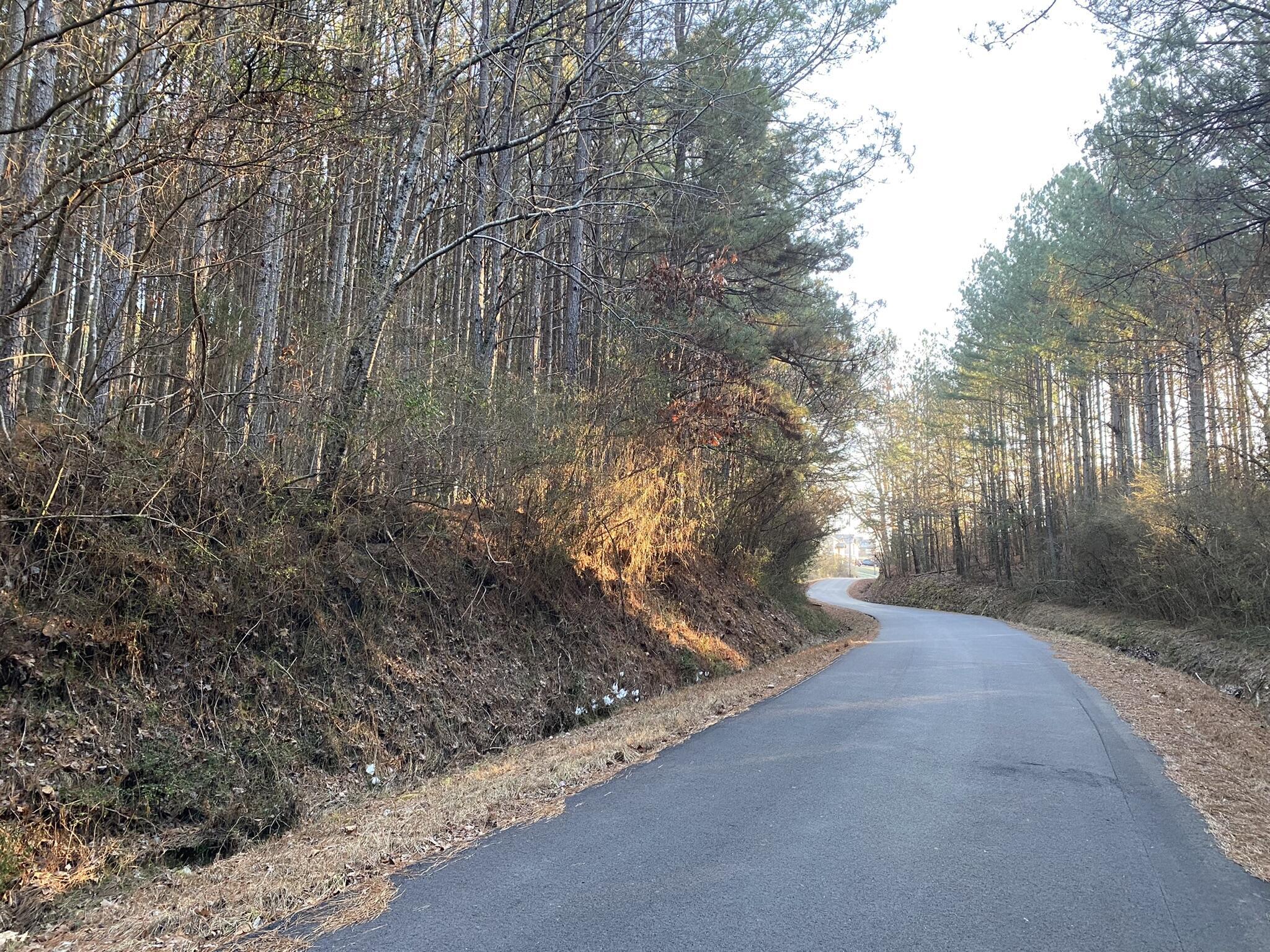Property Photo: 1637 Billingsley Road TN 37379