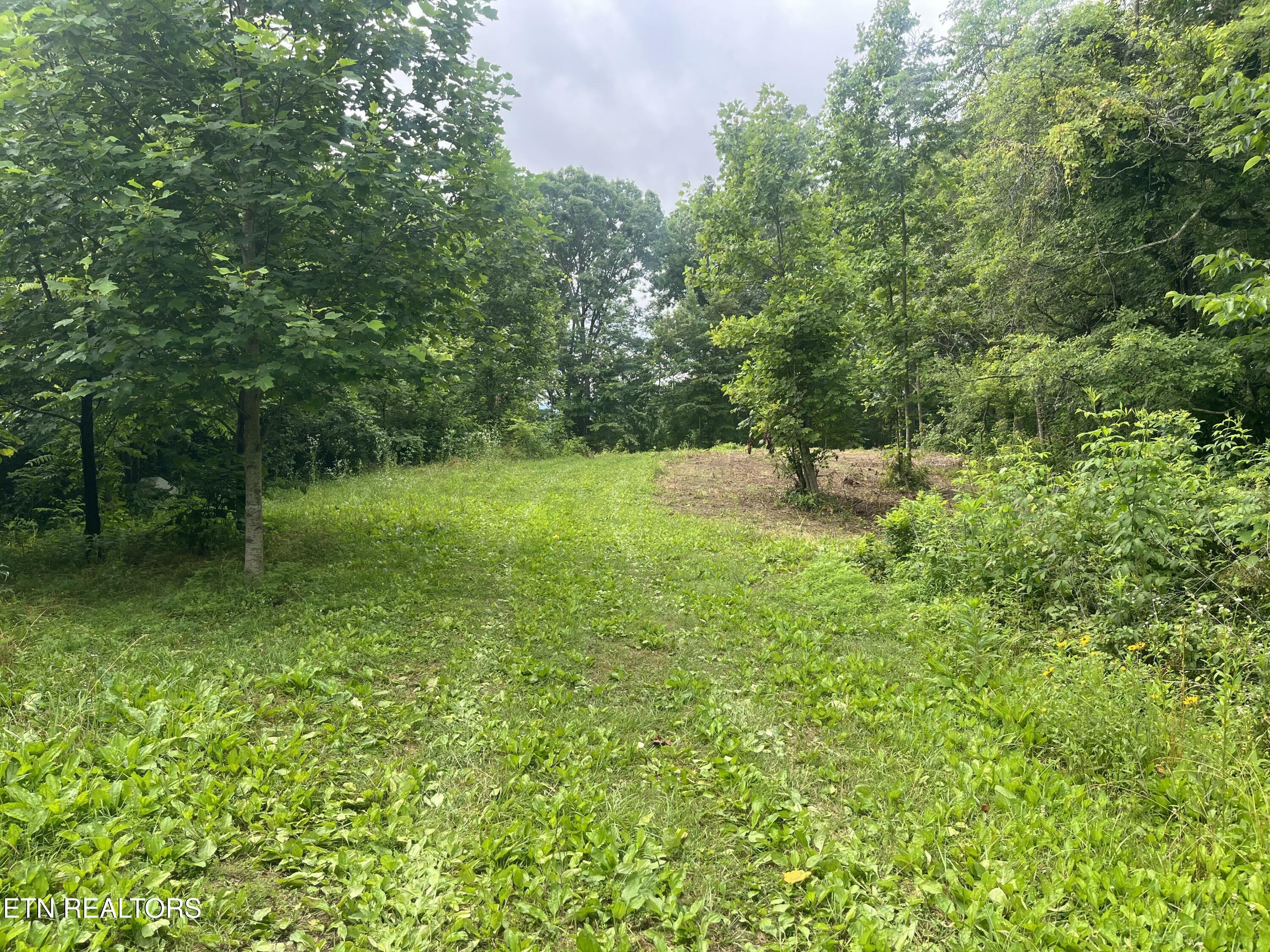 Property Photo:  Tbd Barker Rd  TN 37825 