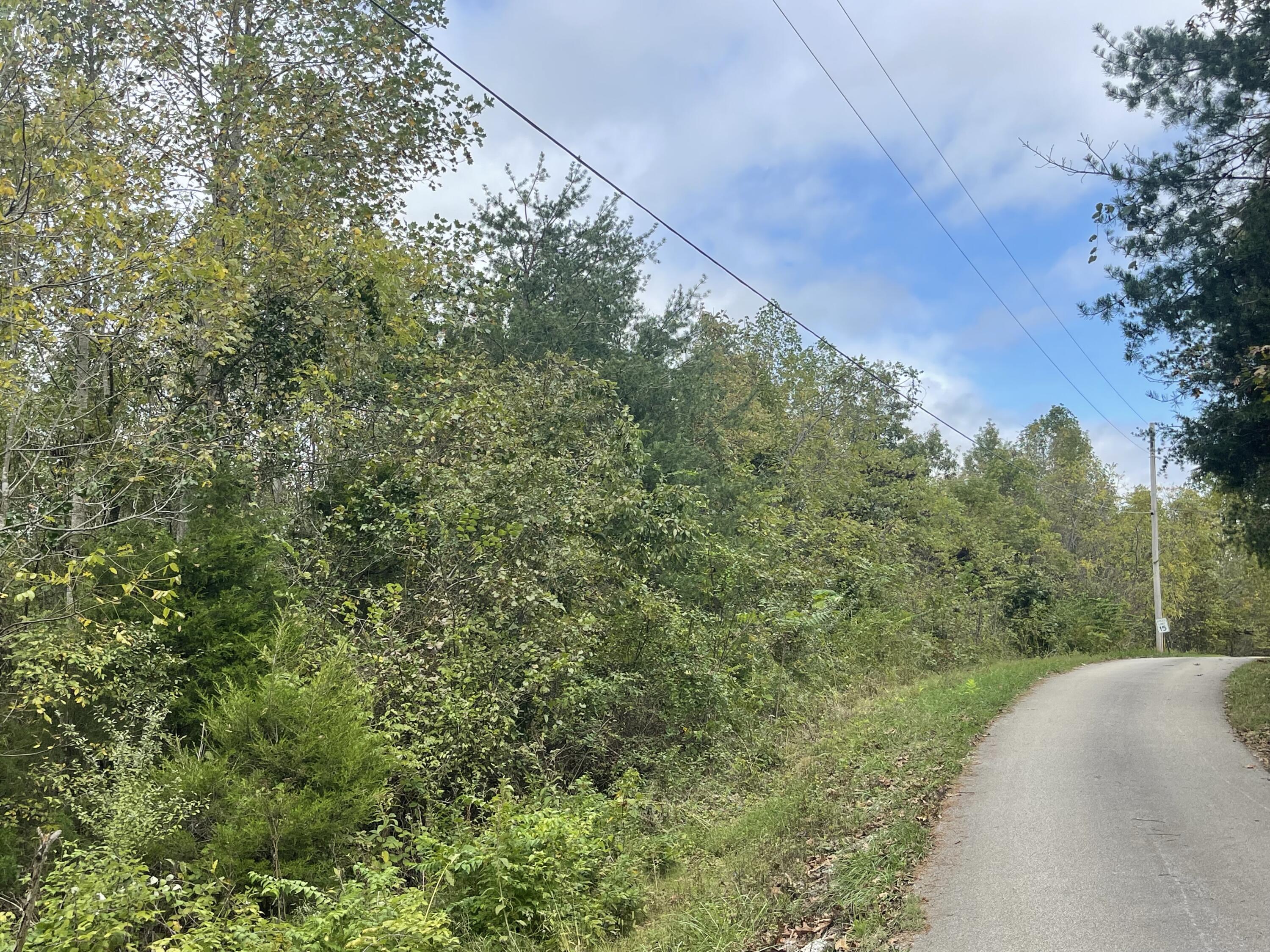 Property Photo: Lot 51 Shepperd KY 42544
