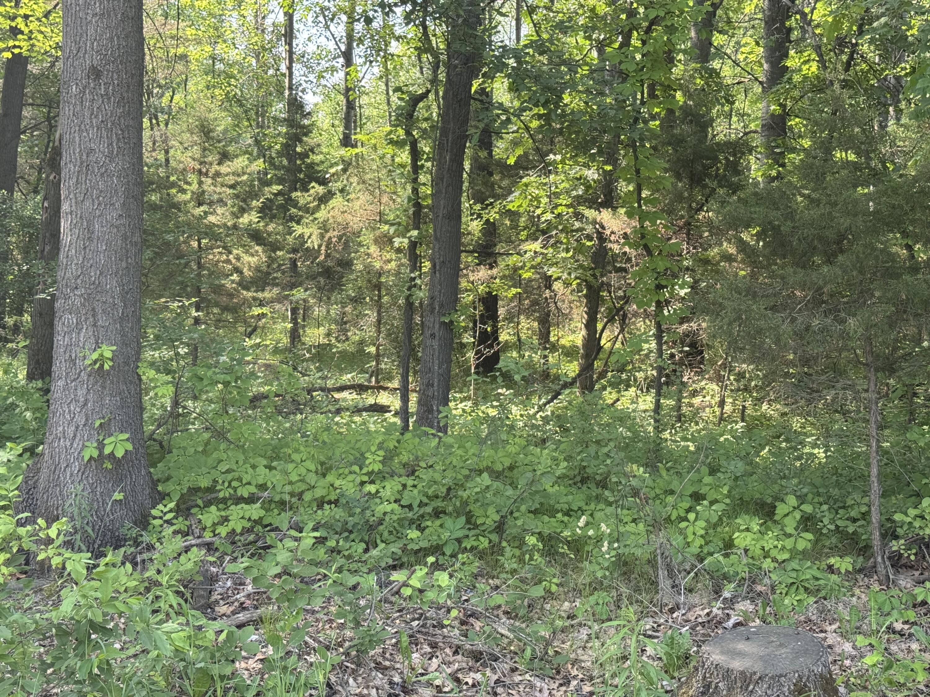 Property Photo: Vl 7 Mile Road MI 48809