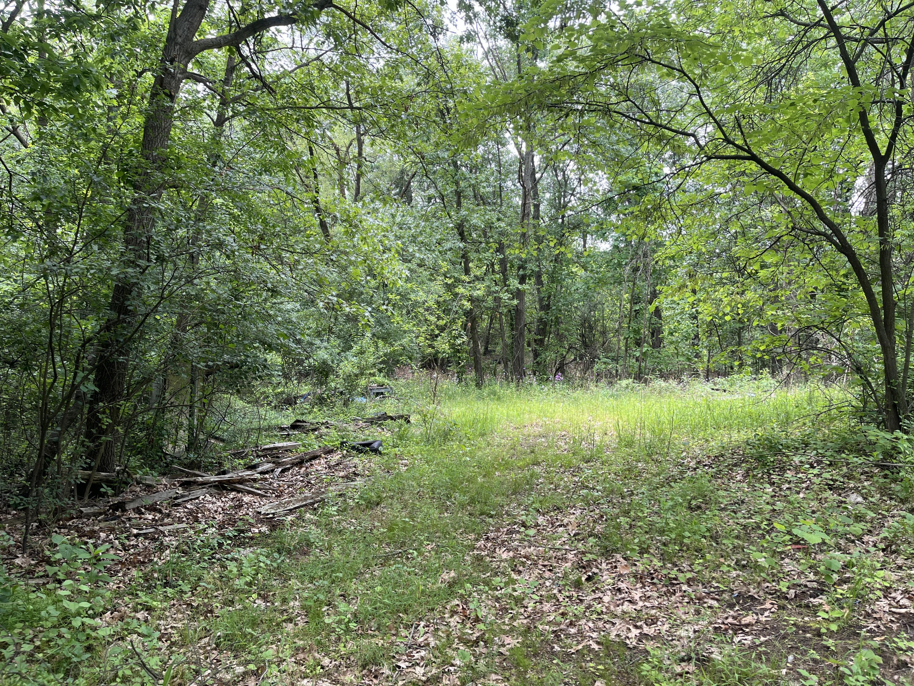Property Photo: 129 Fox Avenue MI 49037