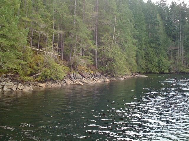 Property Photo: Lot 4 Hidden Basin BC V0N 0V0