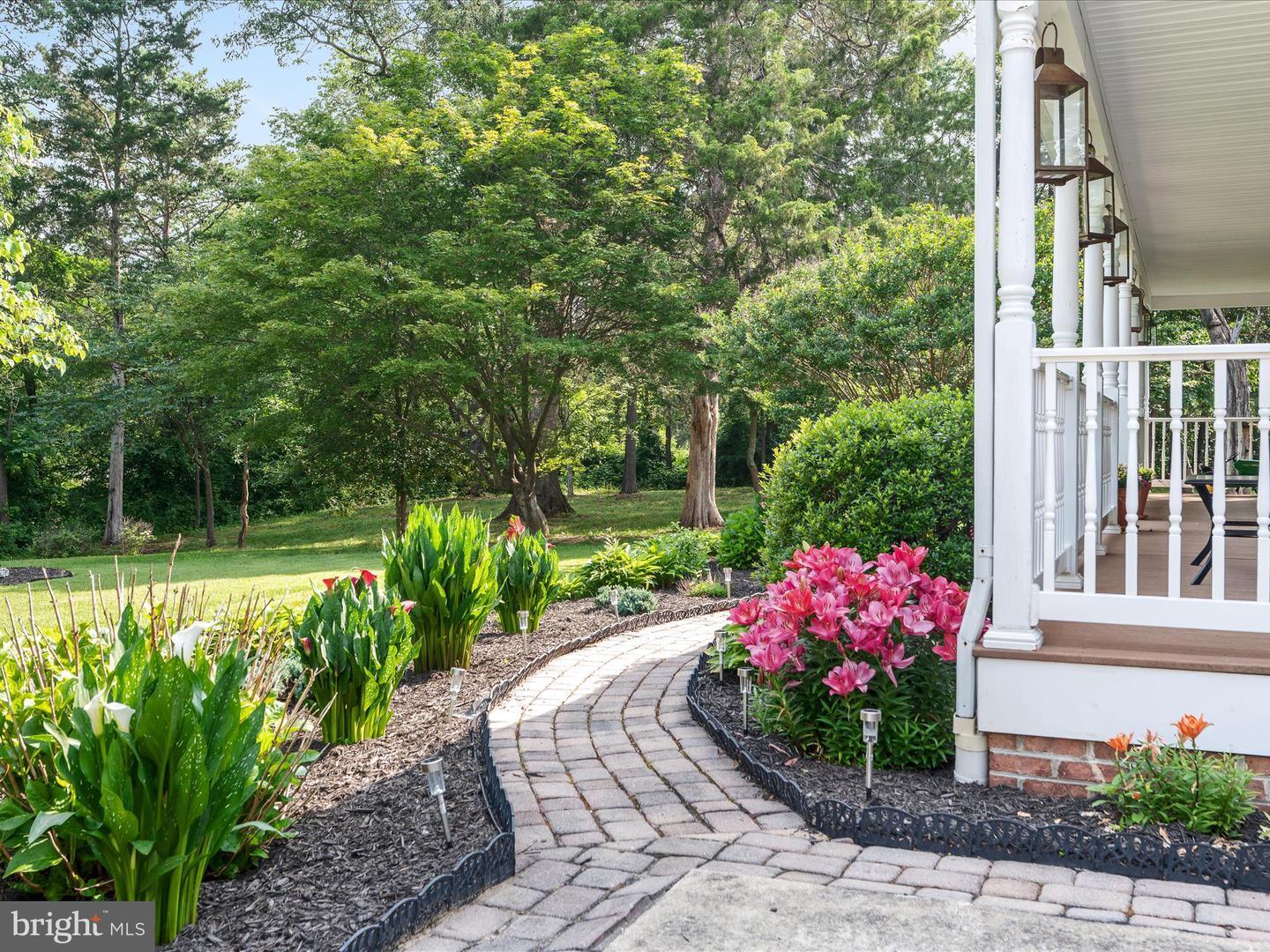 Property Photo: 224 Vine Lane VA 22602