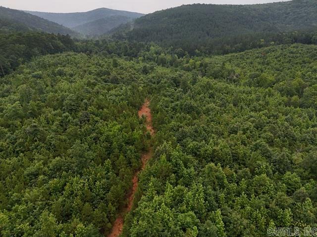 Unk Polk Road 72  Mena AR 71953 photo