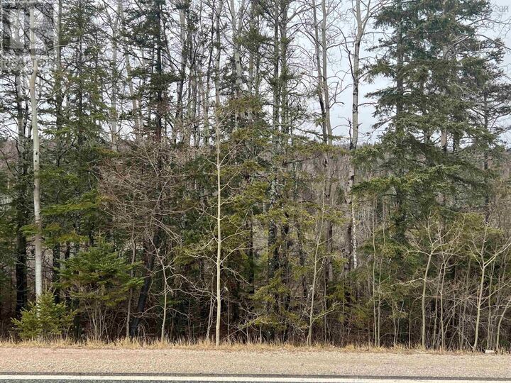 Property Photo:  Leitches Creek Road  NS B2A 3Y9 