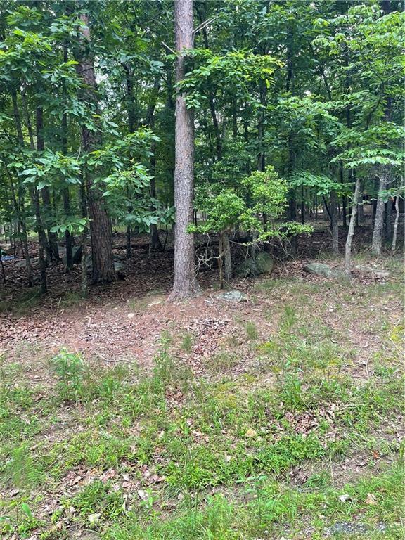 Property Photo: 133 Pawnee Street GA 30183