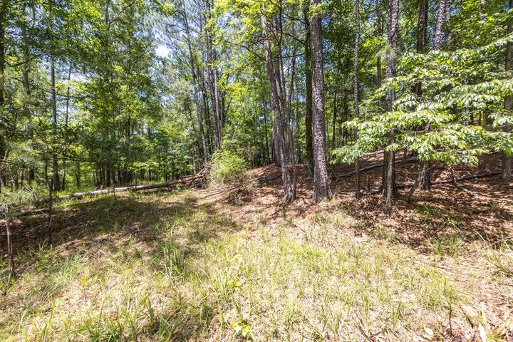 Property Photo: Lot 16 Lake Bright Drive GA 31904