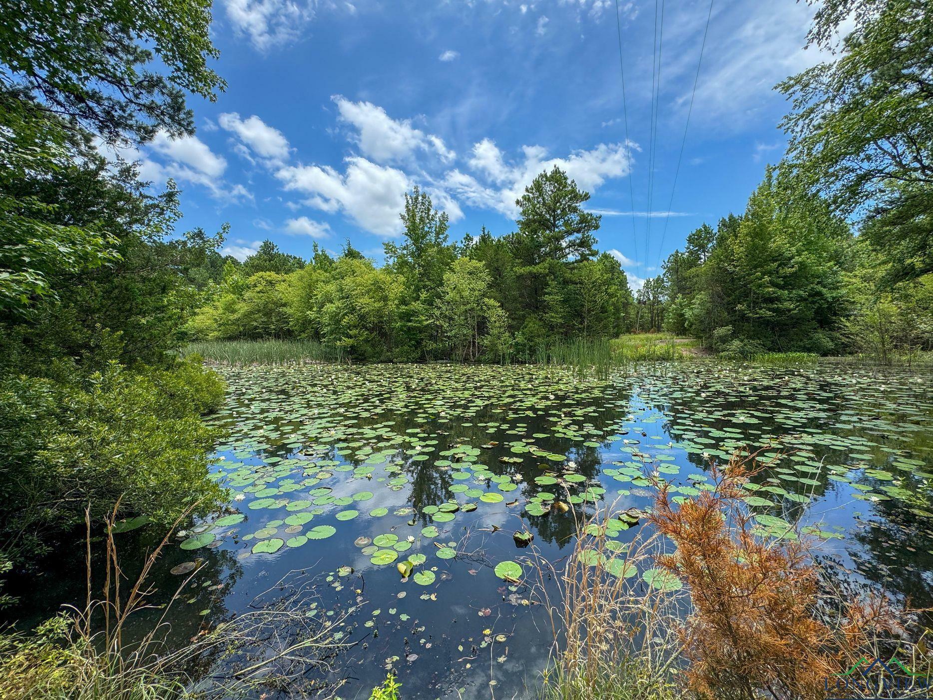 Property Photo: 0000 Farm To Market 3421 TX 75668