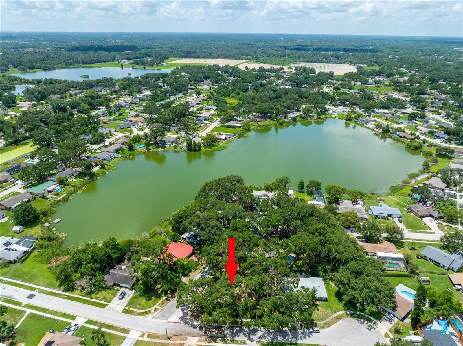 Property Photo: 616 Pawn Way FL 33584