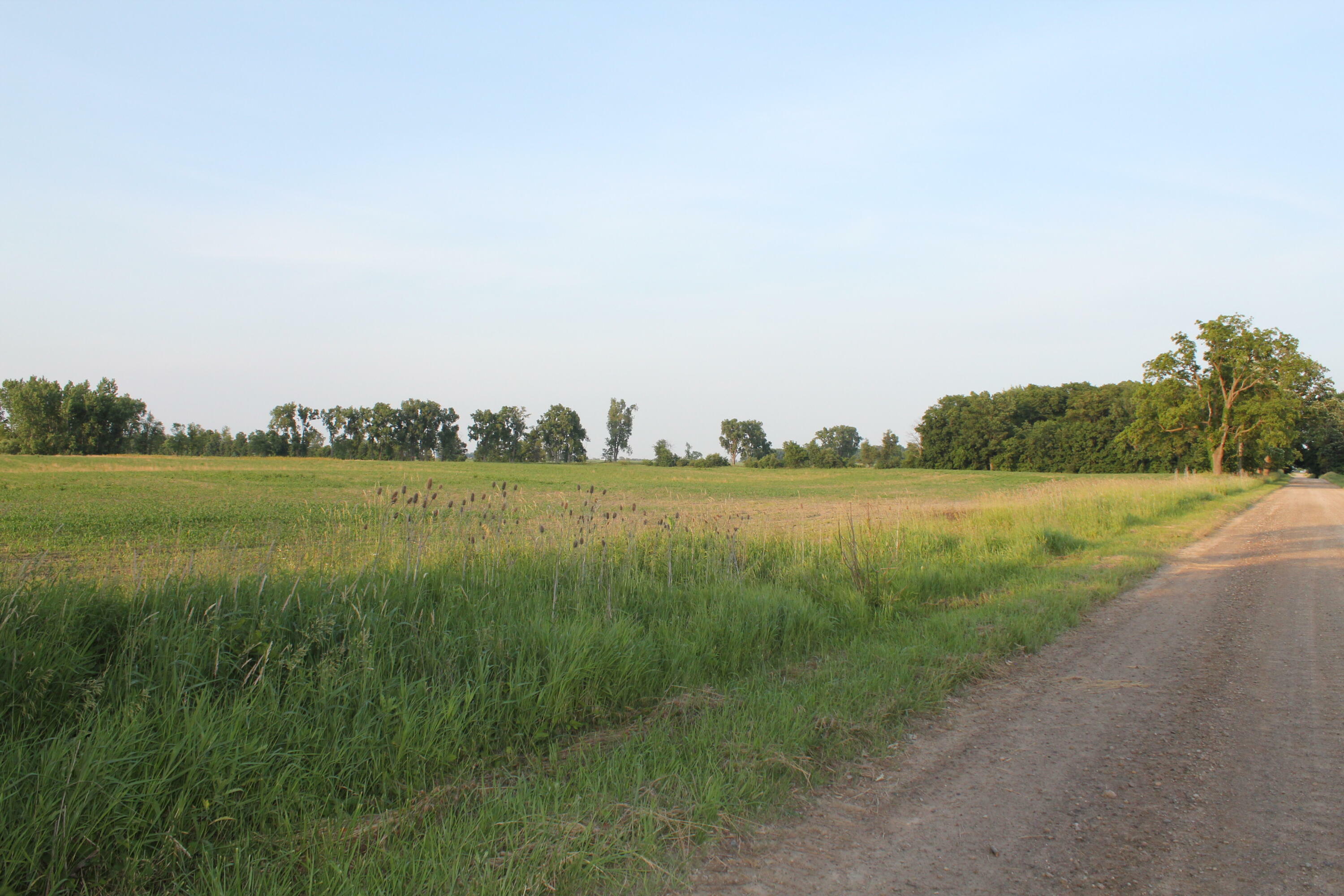 Property Photo: Vl Tamarack Road MI 49247