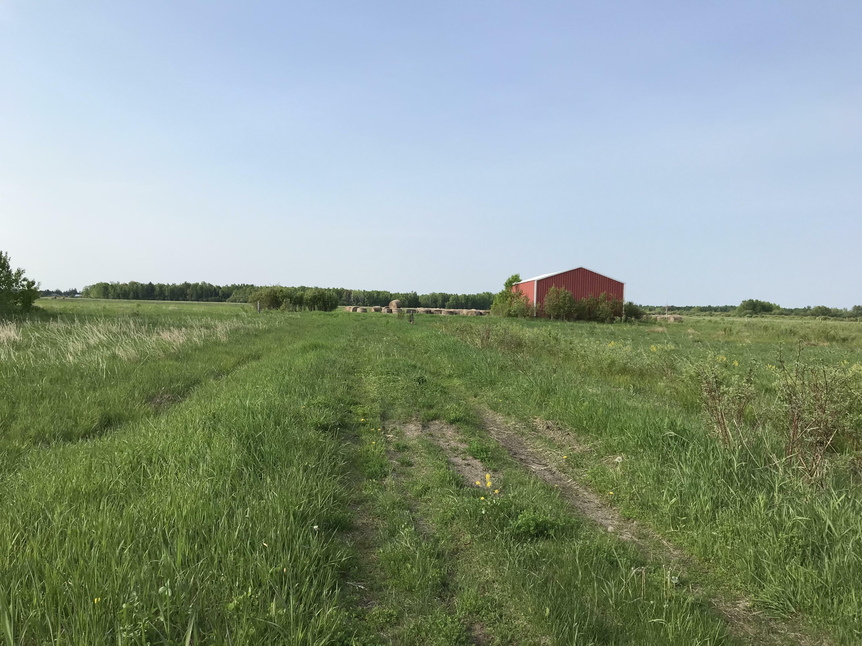 Property Photo: E 7 Mile Road MI 49783