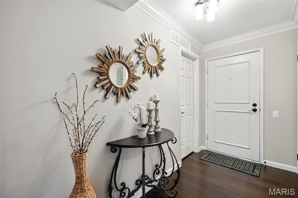 Property Photo: 585 Coeur De Royale Drive 203 MO 63141