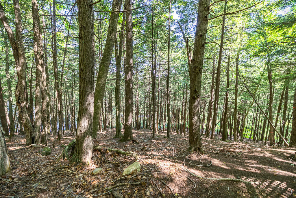 Property Photo:  35A-12 Woodland Road  ME 04346