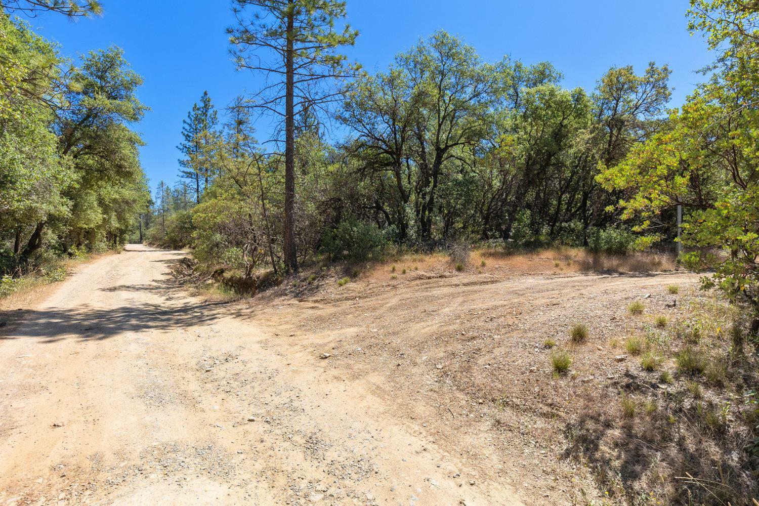 12996 Deadmans Flat Road  Grass Valley CA 95949 photo