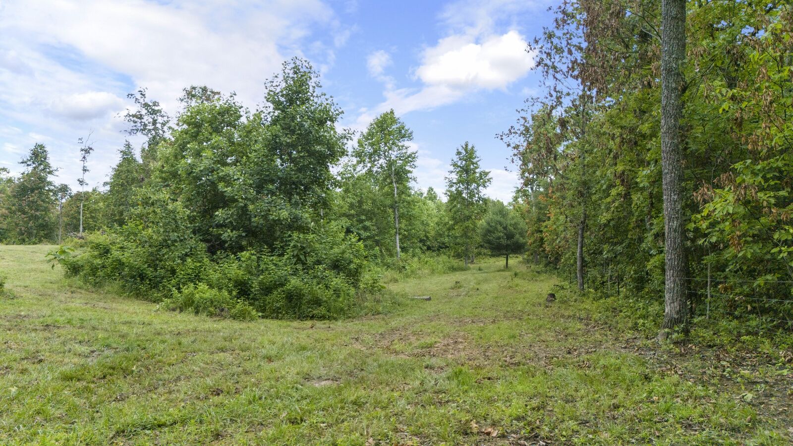 Property Photo: 1232 Main St TN 37387