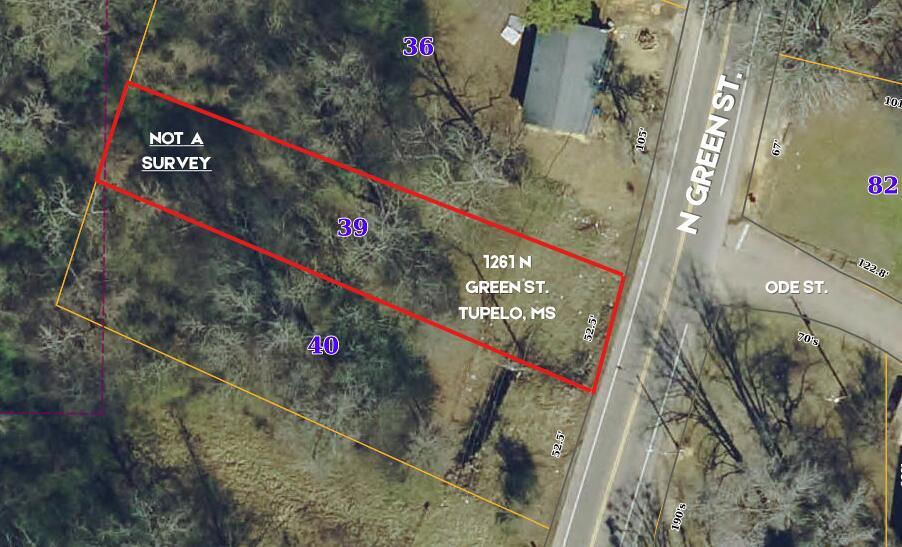 Property Photo:  1261 North Green Street  MS 38804 