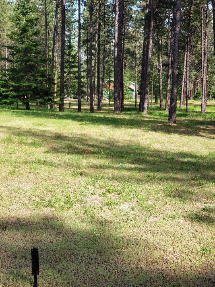 Property Photo: 251 Eagle Dr WA 99109