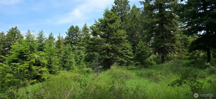 Property Photo:  111  Tbd Fletcher Rd  WA 98844 