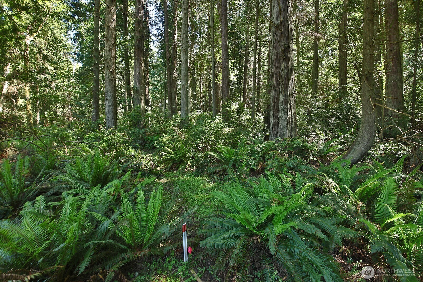 Property Photo:  0 Xxx  East Harbor Road  WA 98249 