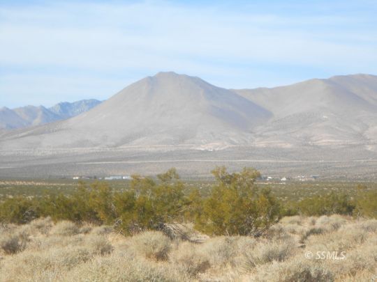 341-160-49 Dolphin In Inyokern  Inyokern CA 93527 photo