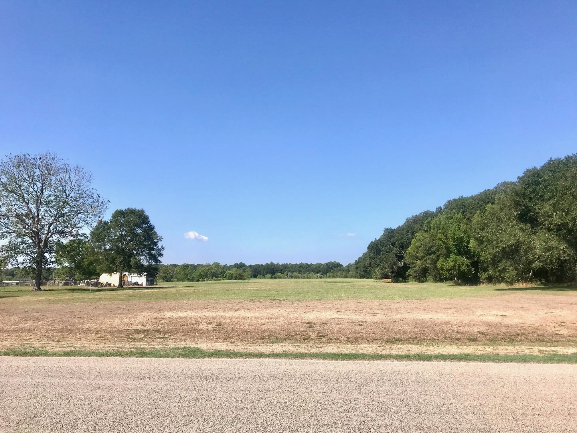 1700 Blanch Rd  China TX 77613 photo
