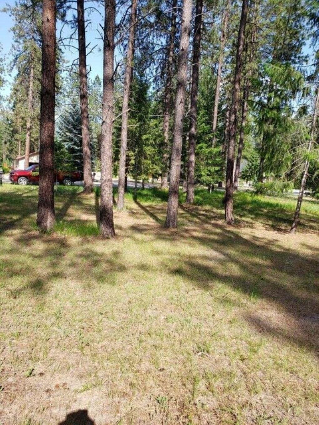 Property Photo: 256 Eagle Dr WA 99109