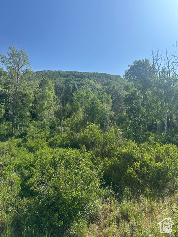 Property Photo: Unknown UT 84629