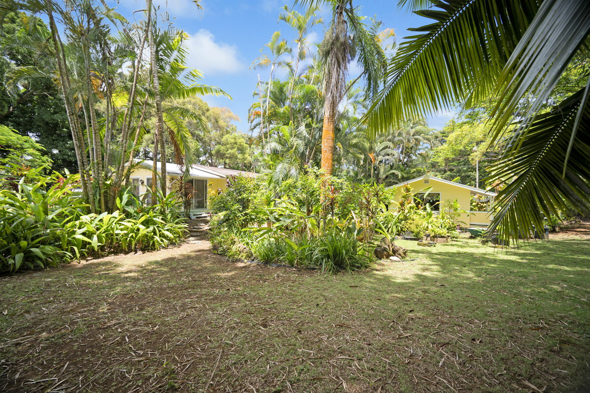 147 Royal Dr  Kapaa HI 96746 photo