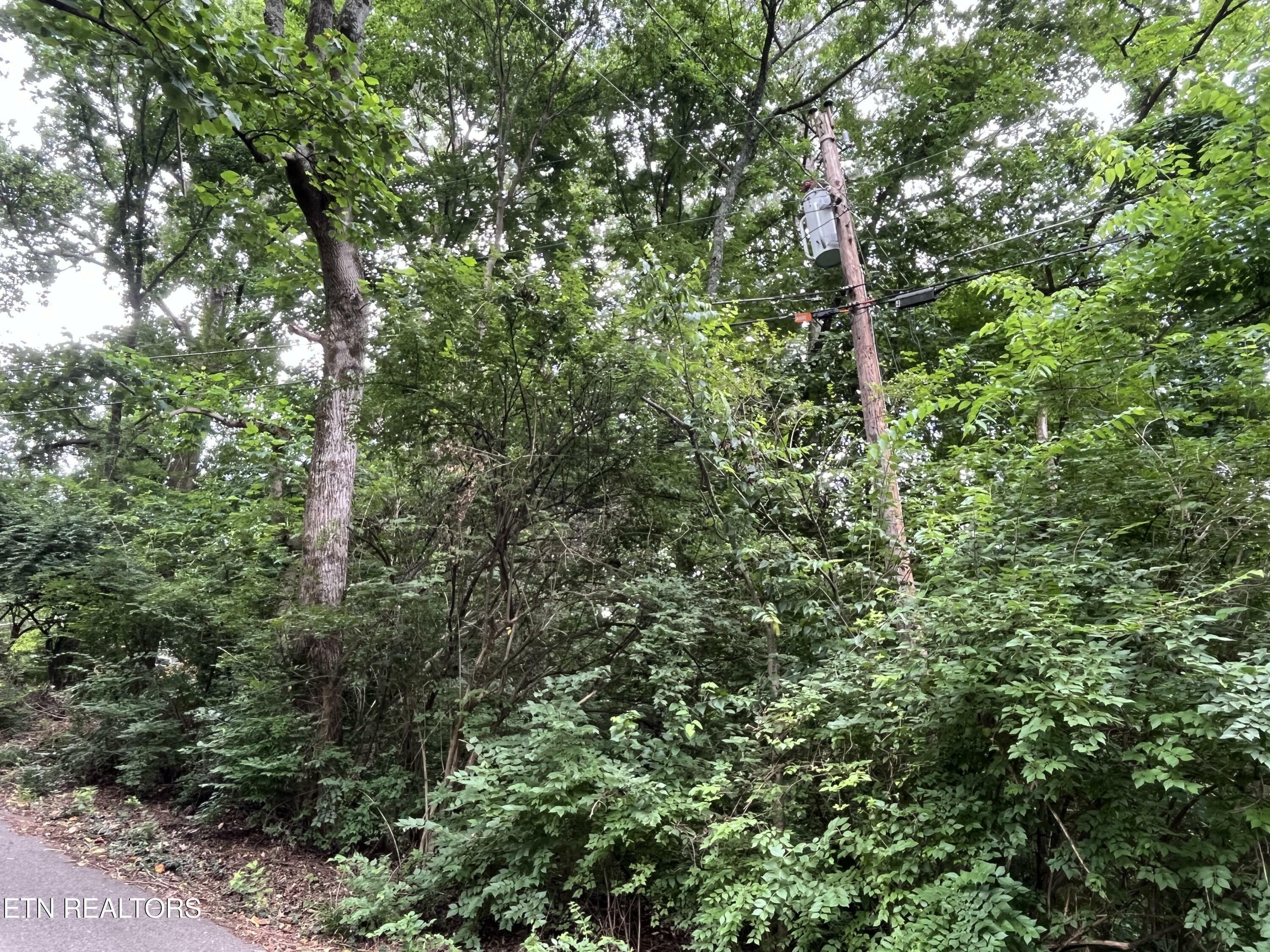Property Photo: 2504 Craghead Lane TN 37920