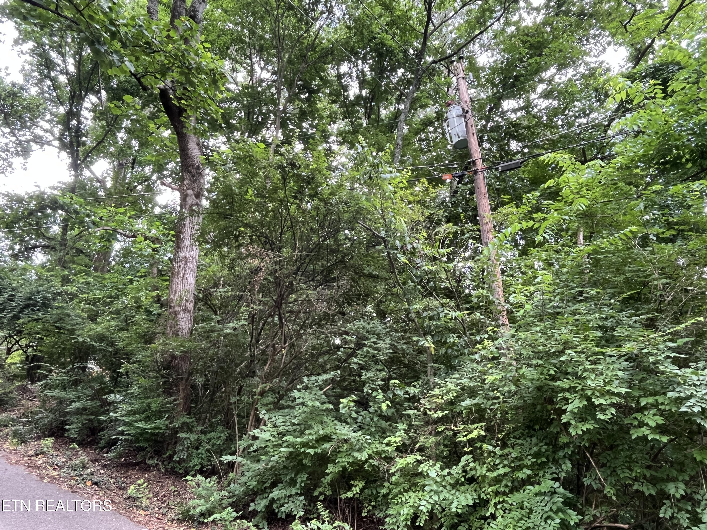 Property Photo:  2504 Craghead Lane  TN 37920 