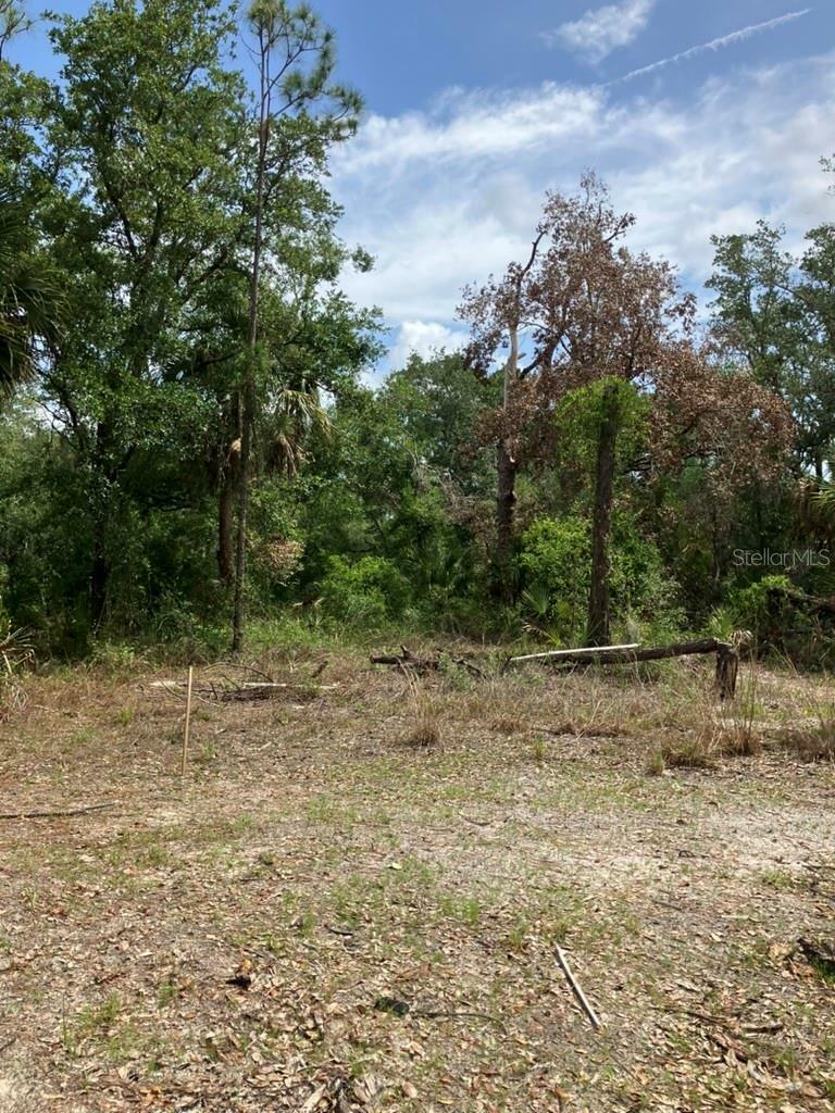 Property Photo: Blitzen Terrace FL 34287