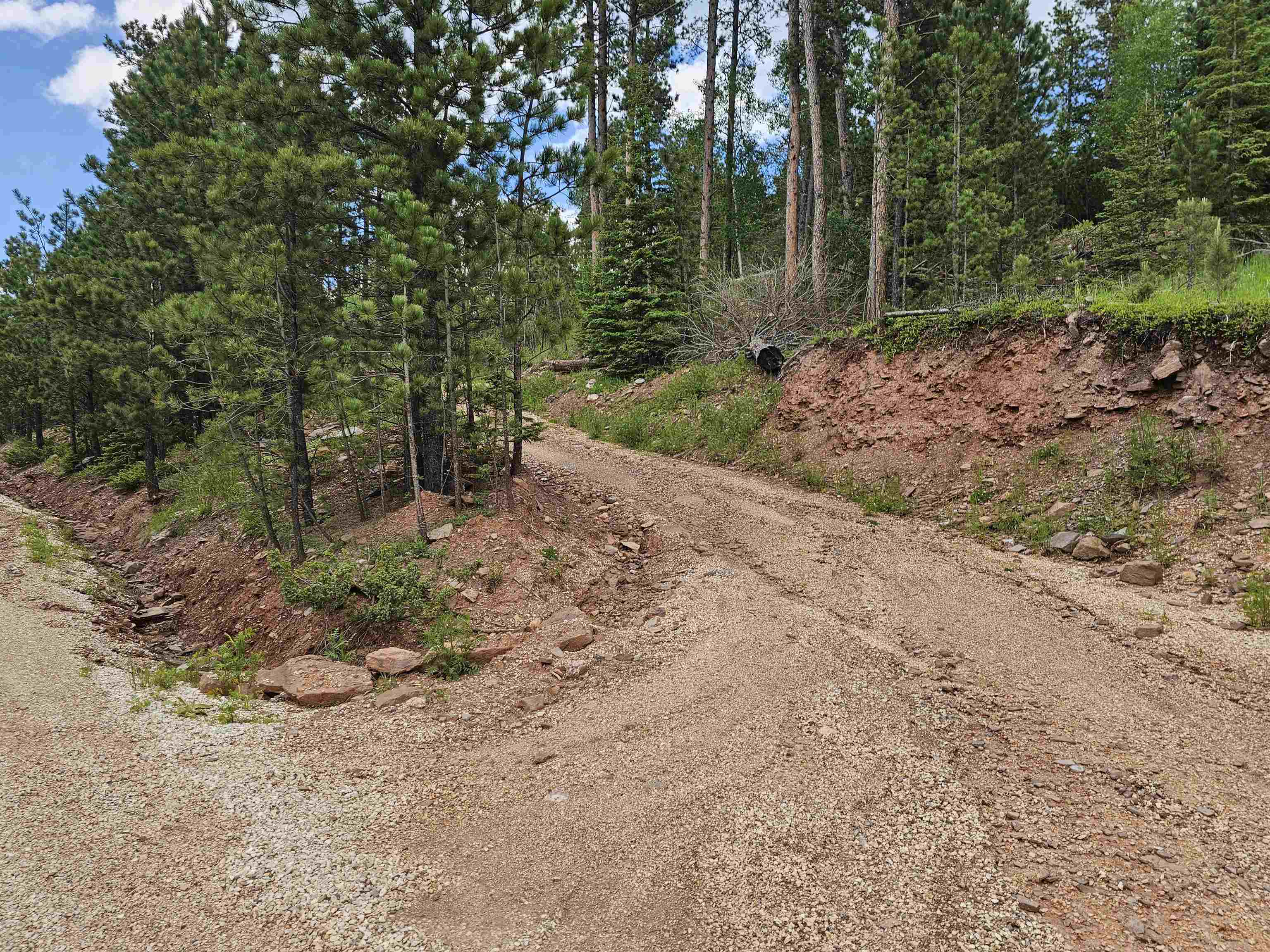 Property Photo: 21335 Snowcat Road SD 57754